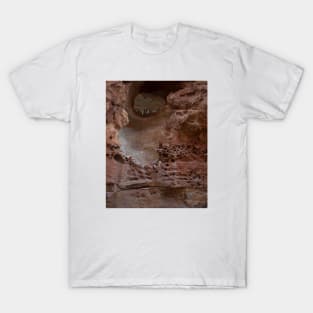 Sandstone rockface rough texture T-Shirt